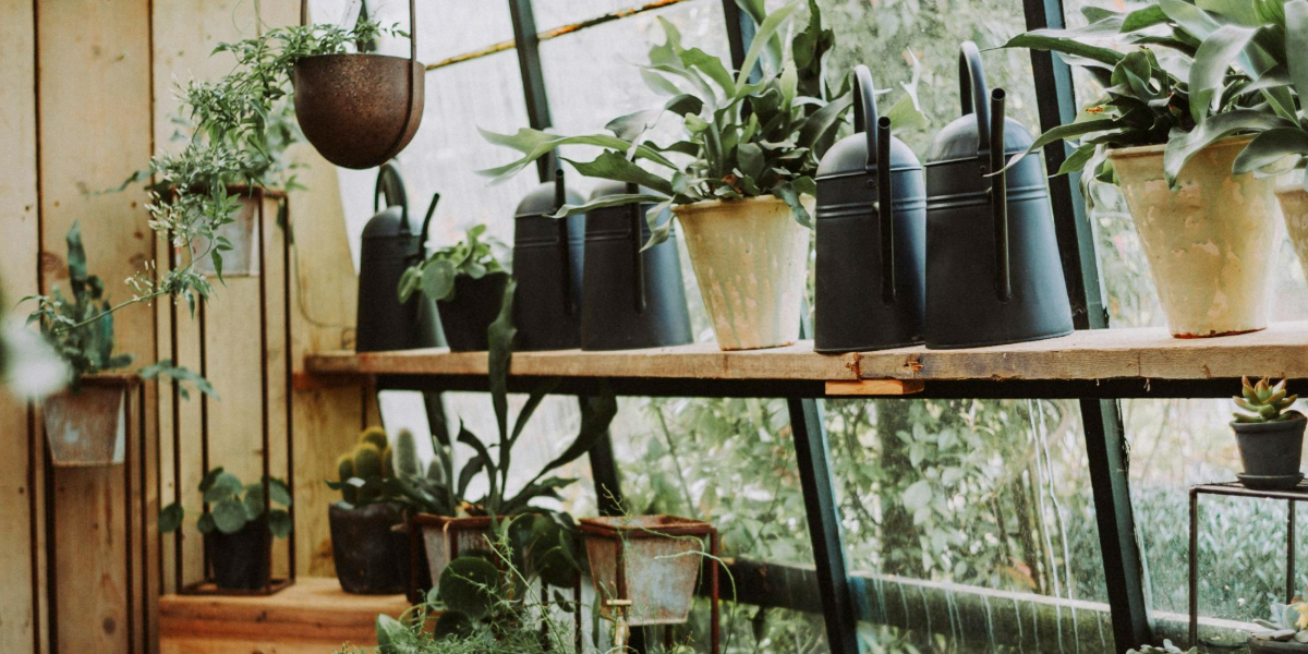 Creative Ways to Use Watering Cans in Home Decor